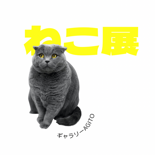ねこ展