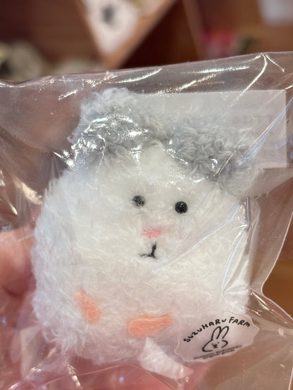 11/23　せりな様　ご購入決済リンク　はむまる