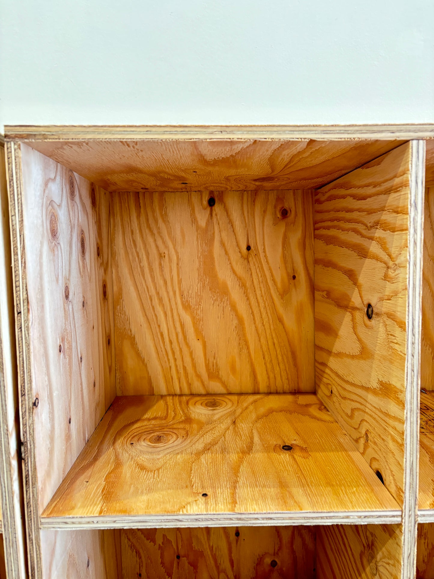 【 📦ベーシックプラン 】新規/更新