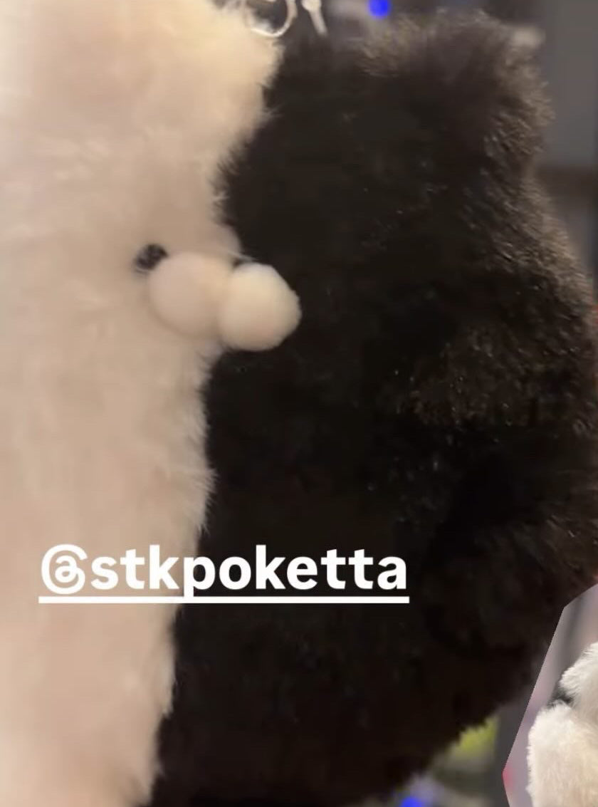 12/8   さくらんぼ様　poketta